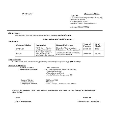Babu1 resume | DOC