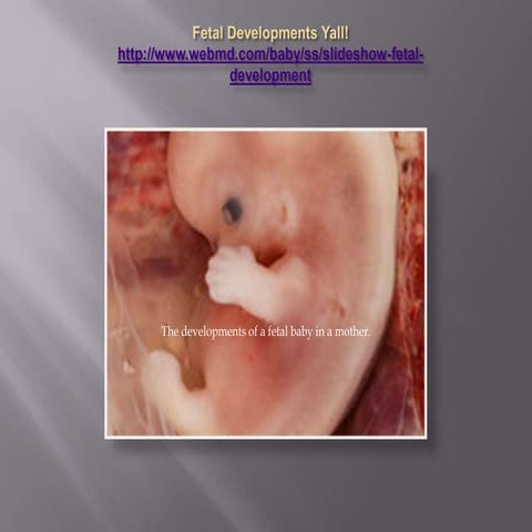 Baby development | PPTX