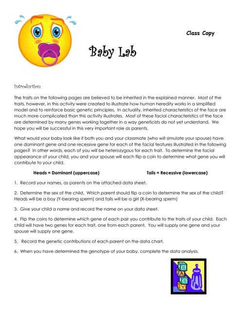 Dragon Genetics Hands on LabIntroductionThere are many patterns o.docx ...