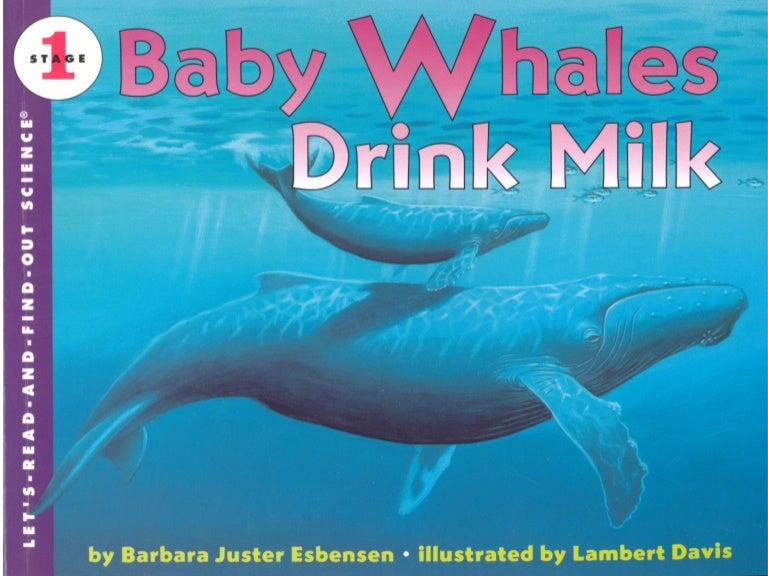 baby-whales-drink-milk