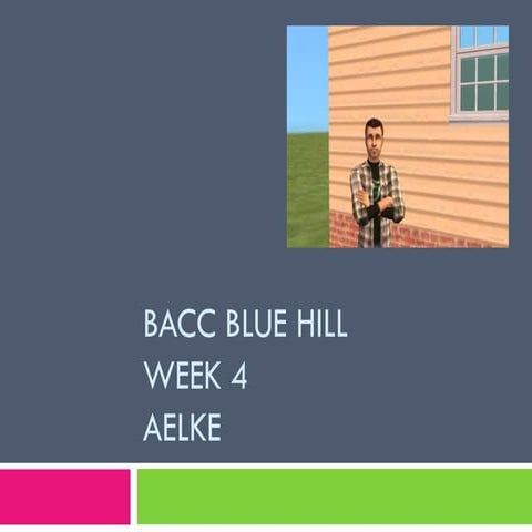 Bacc blue hill week 4 aelke