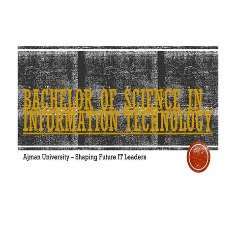 Bachelor of Science in Information Technology.pptx