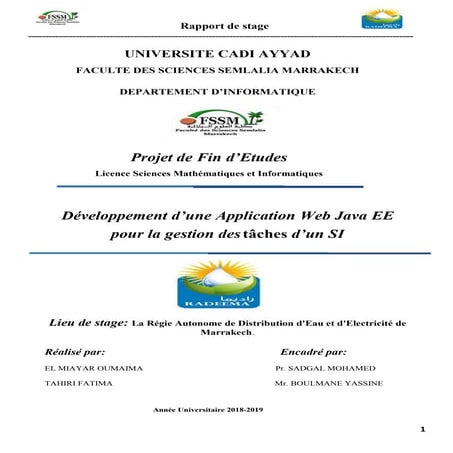 Bachelor's degree final project | PDF