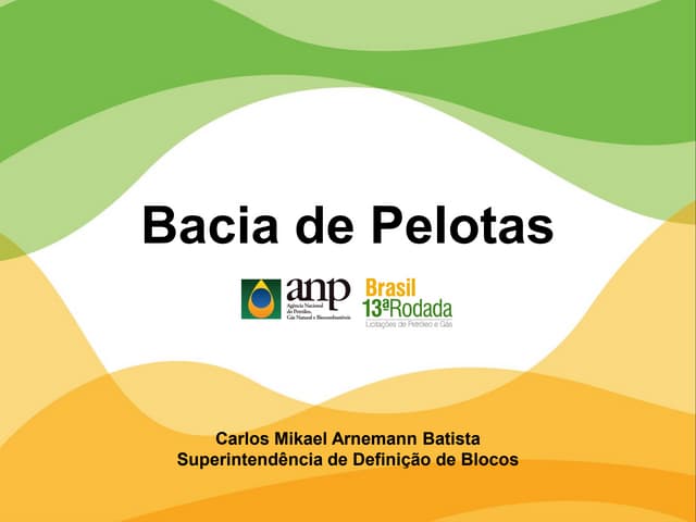 Bacia de Pelotas | PDF