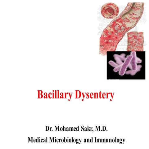 Bacillary Dysentery.pdf in adults humans