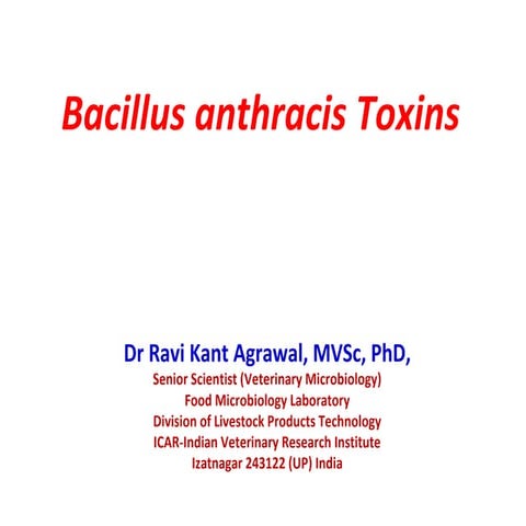 Bacillus anthracis toxins
