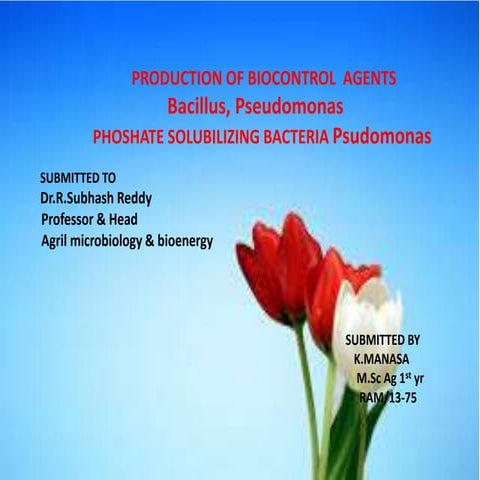 bacillus  biocontol.pptx