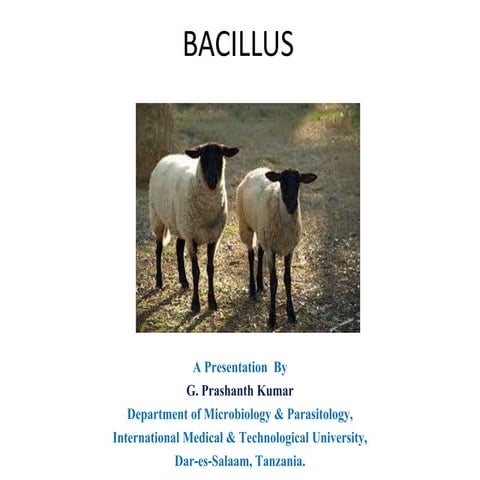 bacillusgp-170124093136.pdf