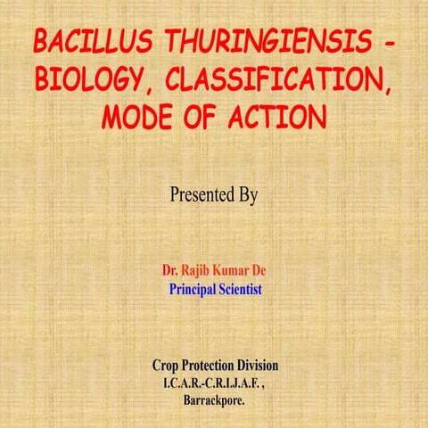 BACILLUS THURINGIENSIS 2013.ppt