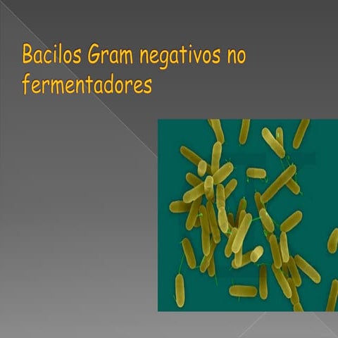 Bacilos gram negativos no fermentadores