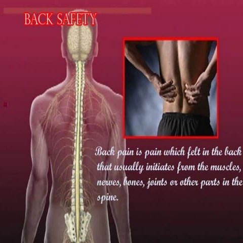 Back Safety in the Workplace