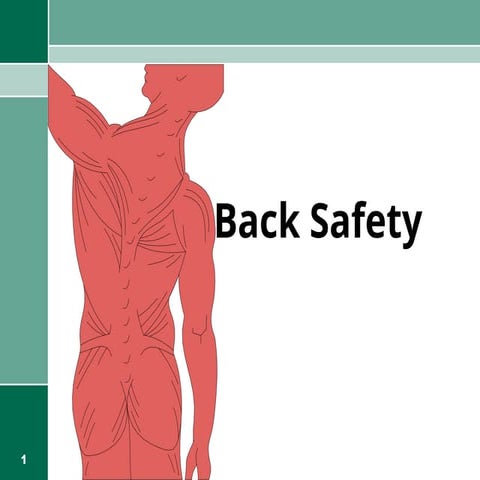 Comprehensive Guide to Back Safety and Injury Prevention Techniques | PPT