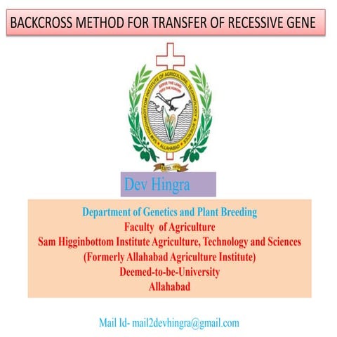 Back cross in recessive gene