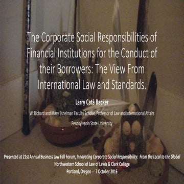 The Corporate Social Responsibilities of Financial Institutions for the Condu...