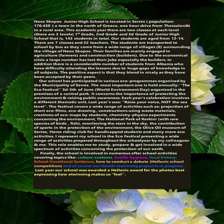 Background information about our school