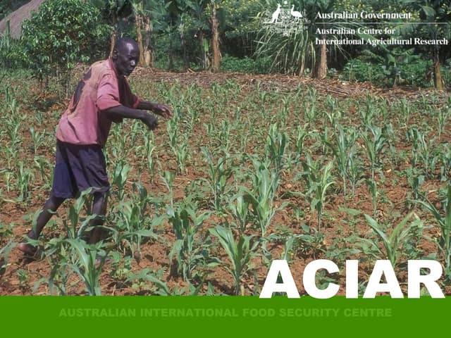 Background presentation AIFSC