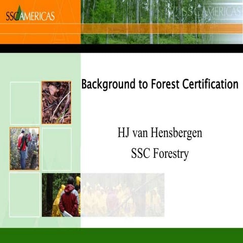 Background to forest certification and chain of custody