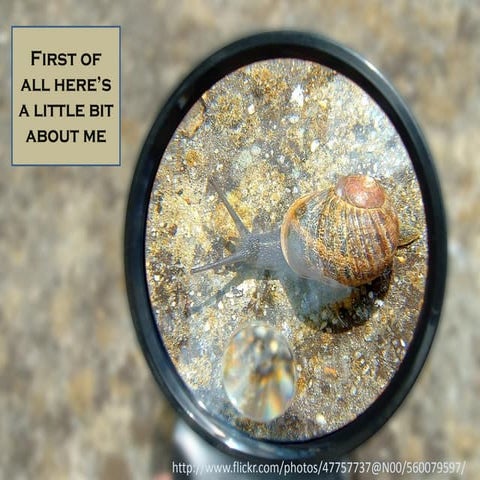 Brandon Backman's visual resume