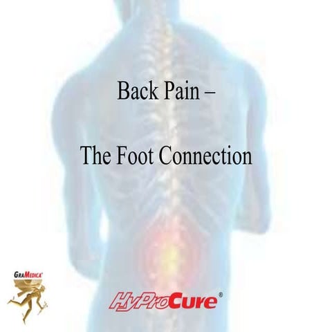 Back Pain - It All Starts Here