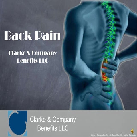 Back Pain 