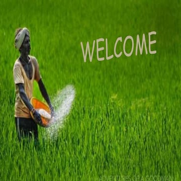 QTL mapping for crop improvement