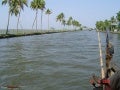 Back Waters, Kerala   India