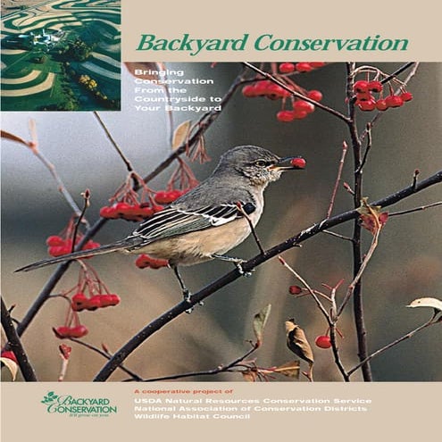 Backyard Conservation: Bringing the Countryside to Your Backyard