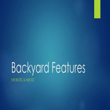 Backyard Features