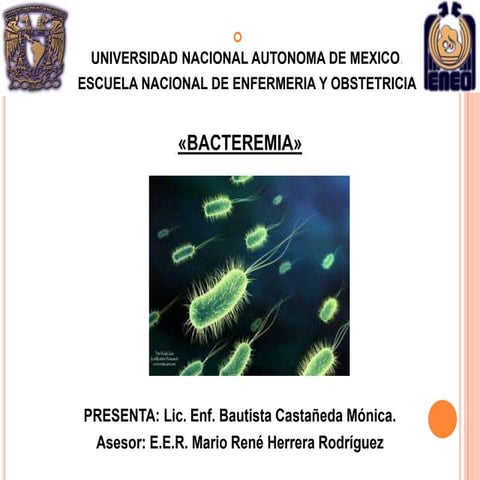 Bacteremia ENEO UNAM | PPTX