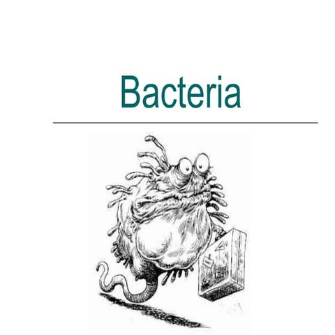 Bacteria 1