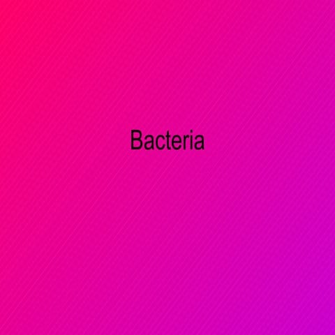 Bacteria
