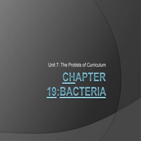 Bacteria