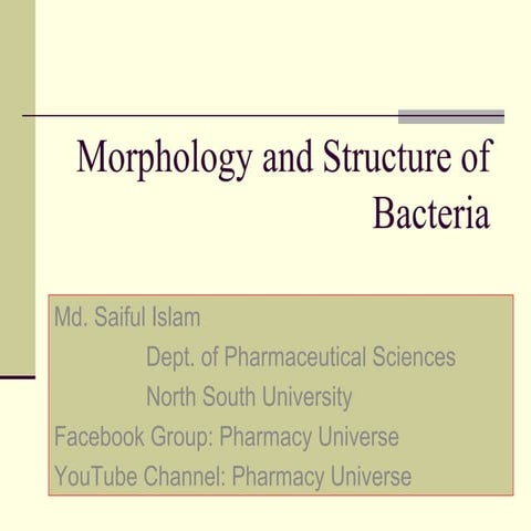 Morphology and Structure of Bacteria