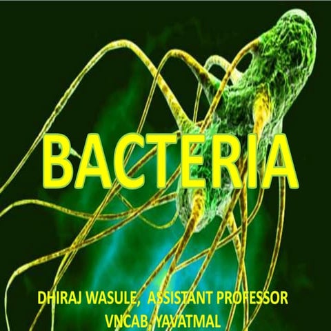 bacteria-200515105516.pdf
