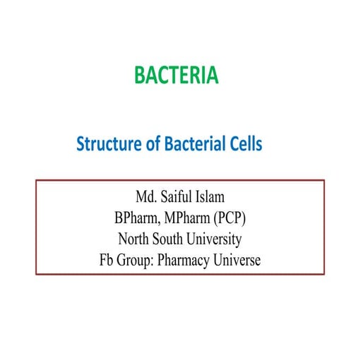 Bacteria 1  