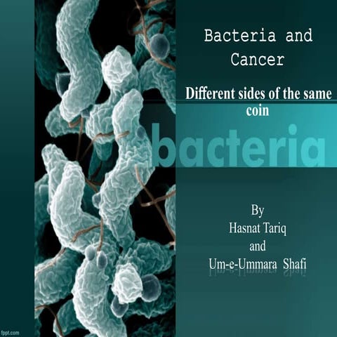 Bacteria and cancer