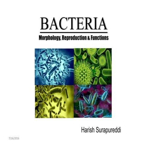Bacteria-Morphology, Reproduction and Functions