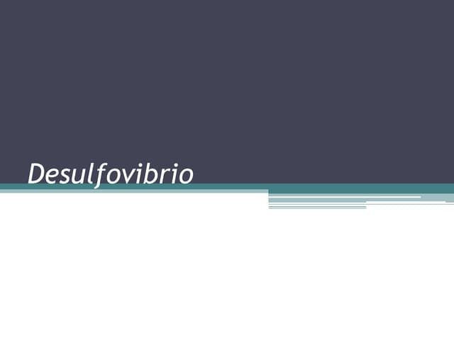 Bacteria diversity desulfovibrio