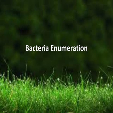 Bacteriaenumeration