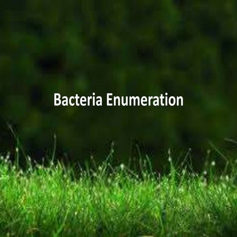 Bacteria enumeration