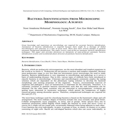 Bacteria identification from microscopic