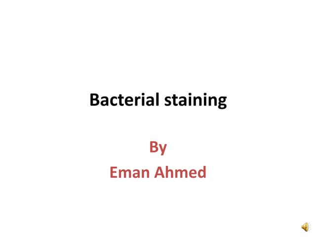 bacterial-staining.pptx