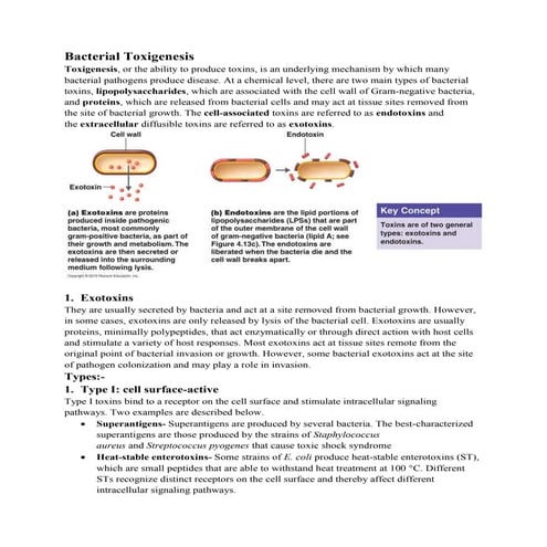 Secretion Systems of Bacteria | PDF