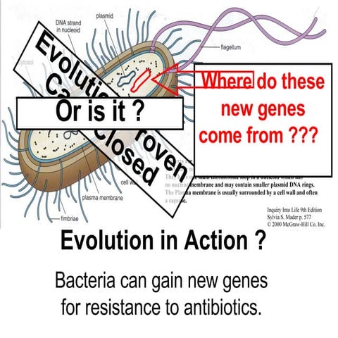 Antibiotic Evolution