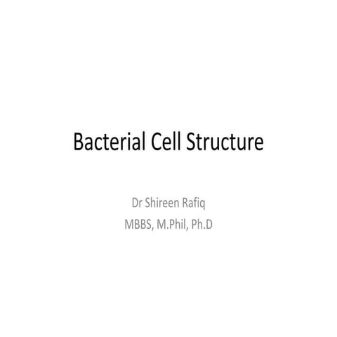 Bacterial Cell Structure by Dr. Shireen Rafiq