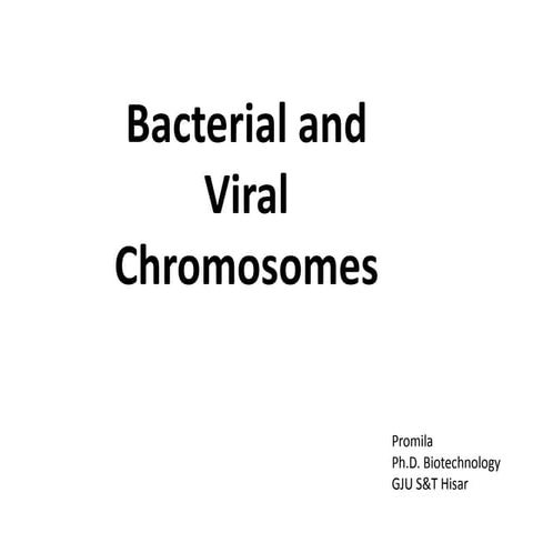 Bacterial and viral chromosomes