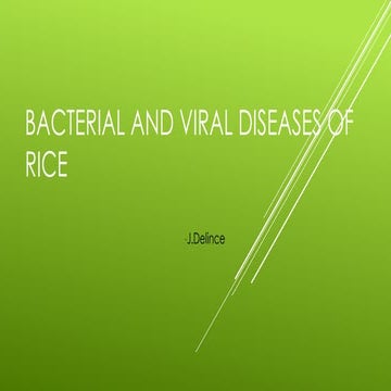 Bacterial and viral diseases of rice