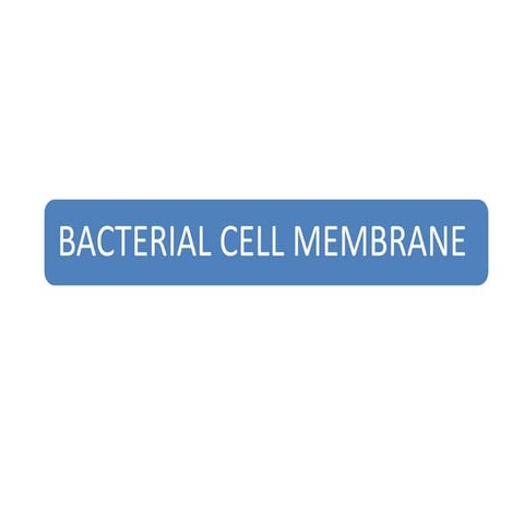 Bacterial cell membrane a brief description