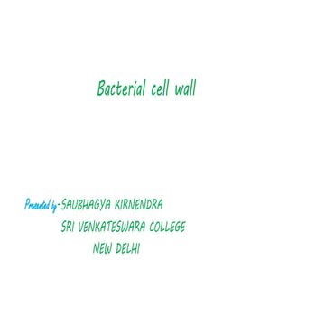 Bacterial cell wall