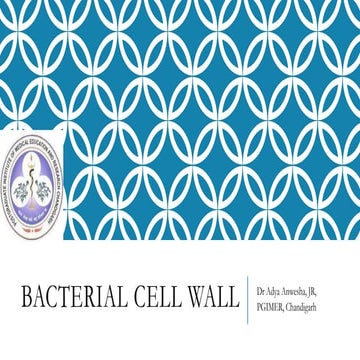 Bacterial cell wall.pptx
